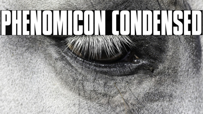 Phenomicon Condensed Example 1
