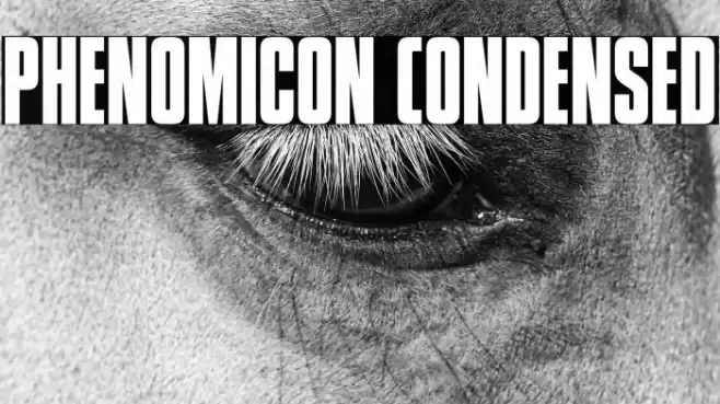 Phenomicon Condensed Font examples