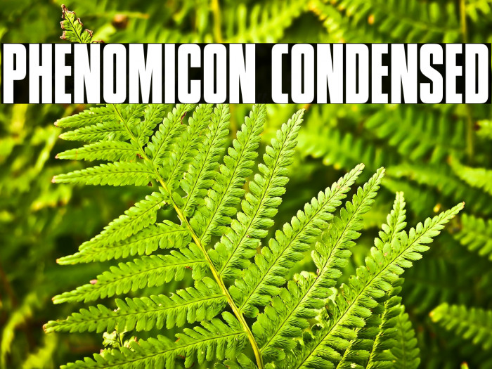 Phenomicon Condensed Example 2