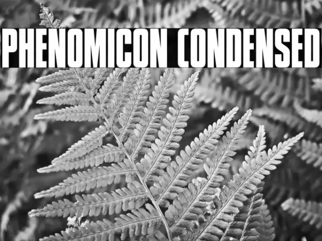 Phenomicon Condensed Font examples
