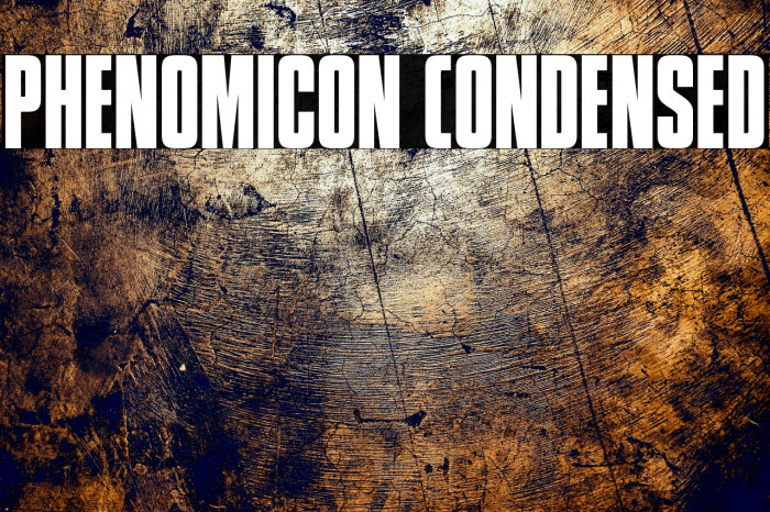 Phenomicon Condensed Example 3