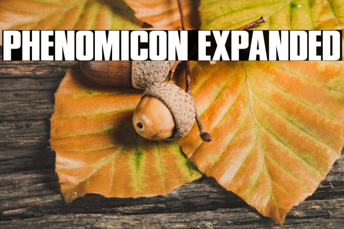Phenomicon Expanded Example 1