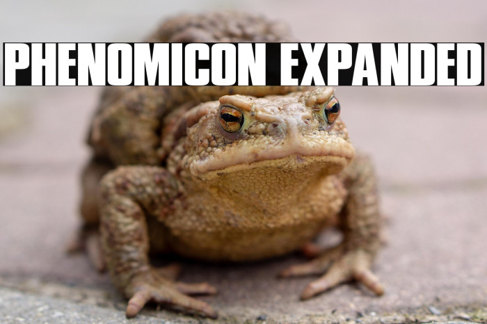 Phenomicon Expanded Example 2