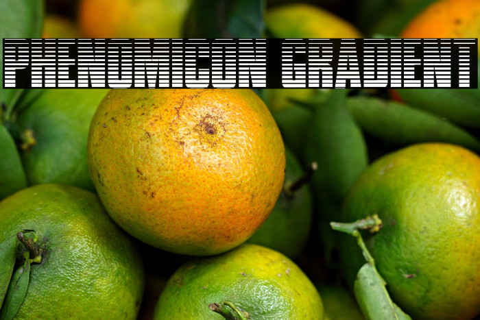 Phenomicon Gradient Example 3