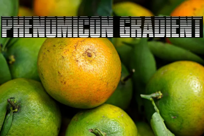 Phenomicon Gradient Example 3