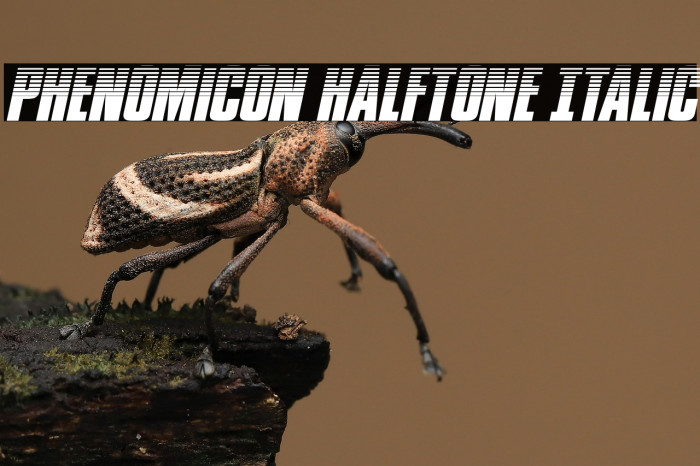 Phenomicon Halftone Italic Example 1