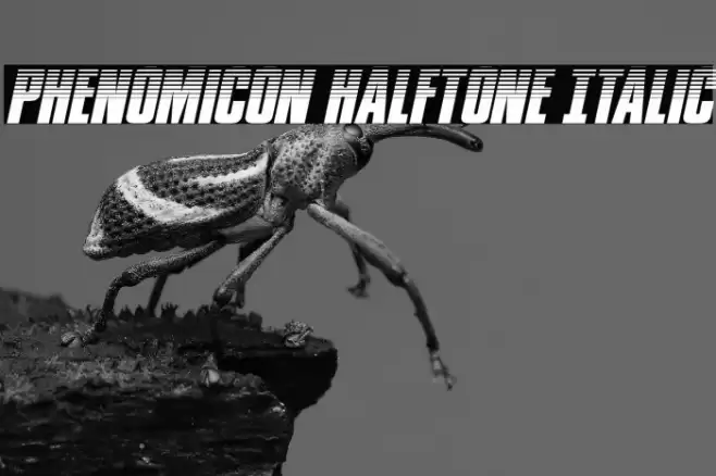 Phenomicon Halftone Italic Font examples