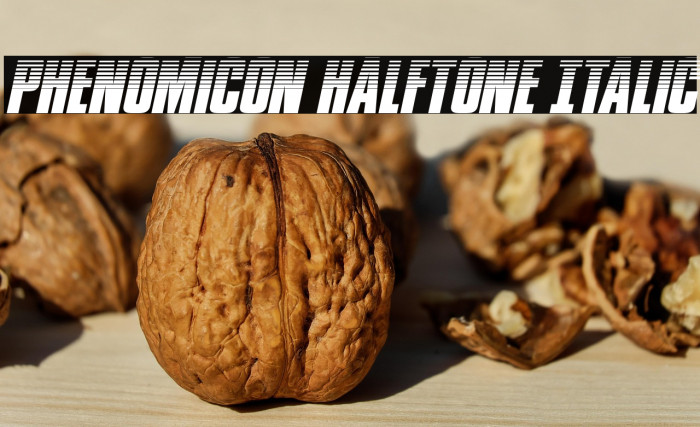 Phenomicon Halftone Italic Example 2