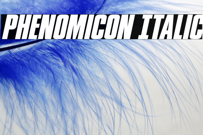 Phenomicon Italic Example 2