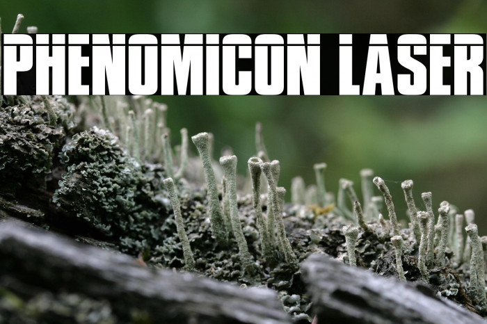 Phenomicon Laser Example 2