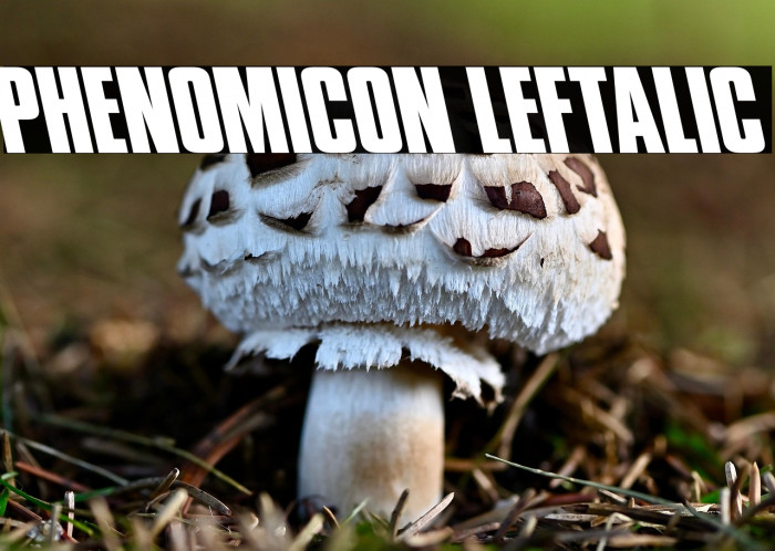 Phenomicon Leftalic Example 1