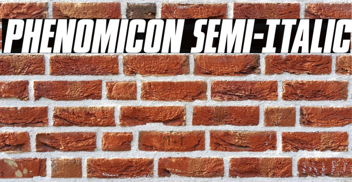 Phenomicon Semi-Italic Example 1