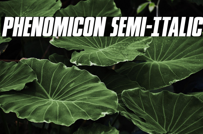 Phenomicon Semi-Italic Example 2