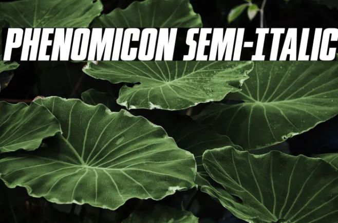 Phenomicon Semi-Italic Example 2