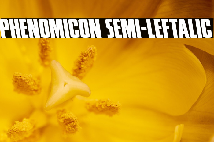 Phenomicon Semi-Leftalic Example 1