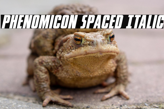 Phenomicon Spaced Italic Example 1