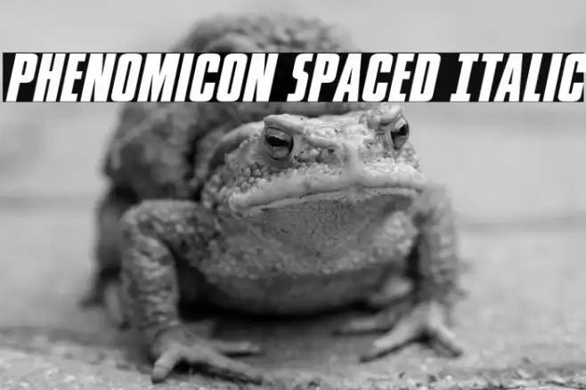 Phenomicon Spaced Italic Font examples