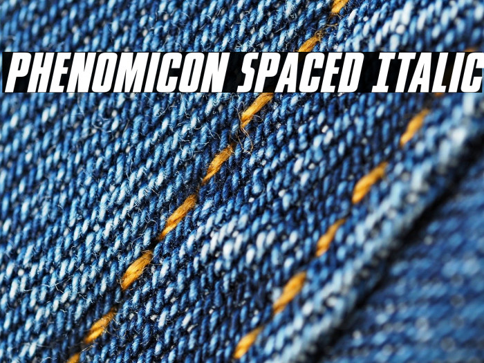 Phenomicon Spaced Italic Example 2