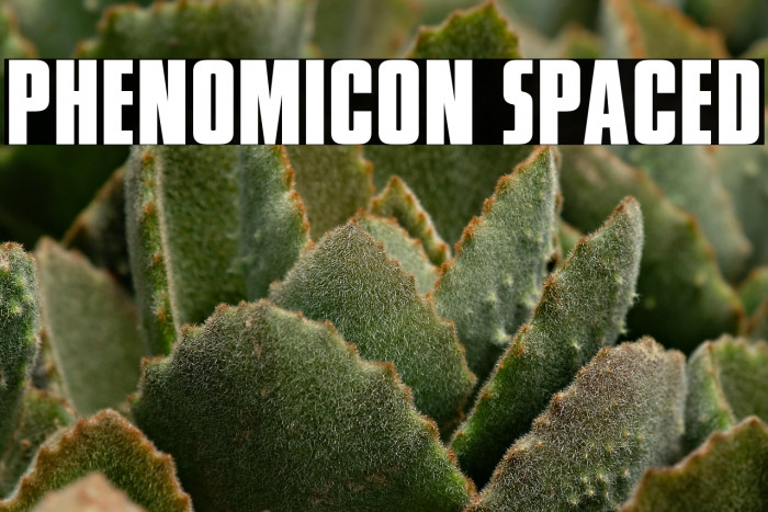 Phenomicon Spaced Example 1