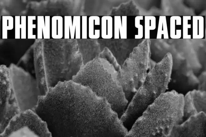 Phenomicon Spaced Font examples