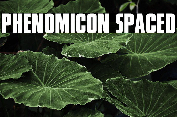 Phenomicon Spaced Example 3