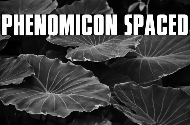Phenomicon Spaced Font examples