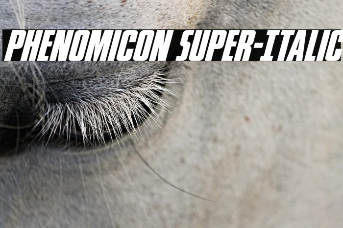 Phenomicon Super-Italic Example 1