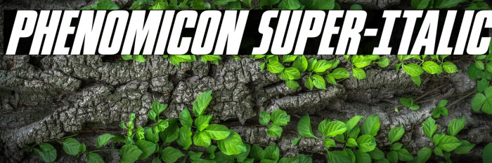 Phenomicon Super-Italic Example 2