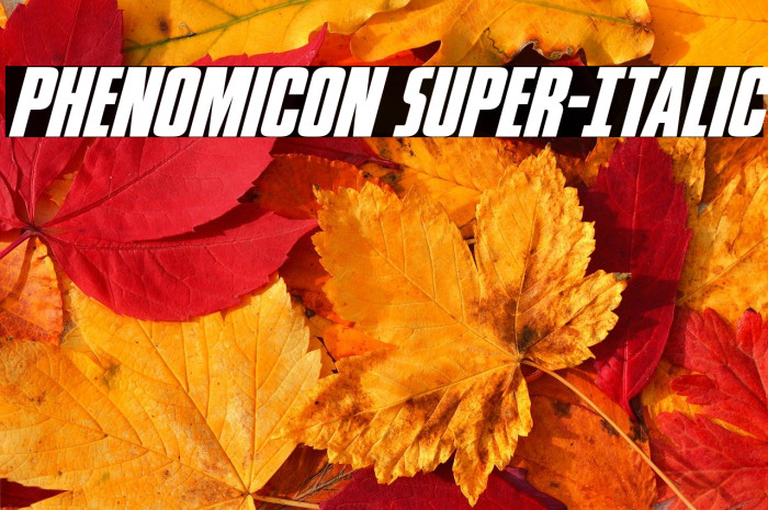 Phenomicon Super-Italic Example 3