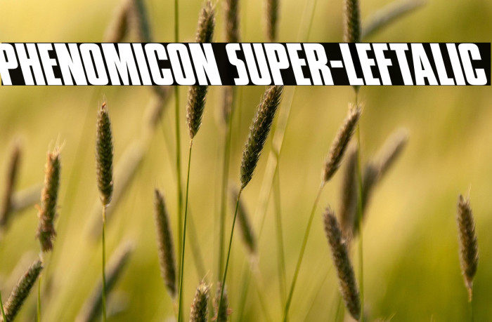 Phenomicon Super-Leftalic Example 1