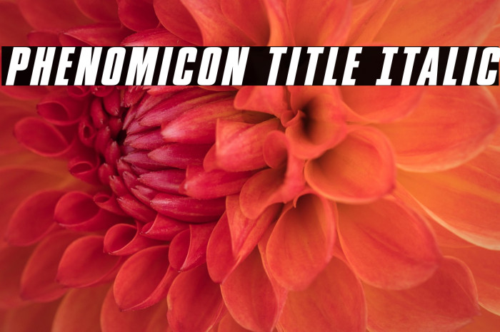 Phenomicon Title Italic Example 1