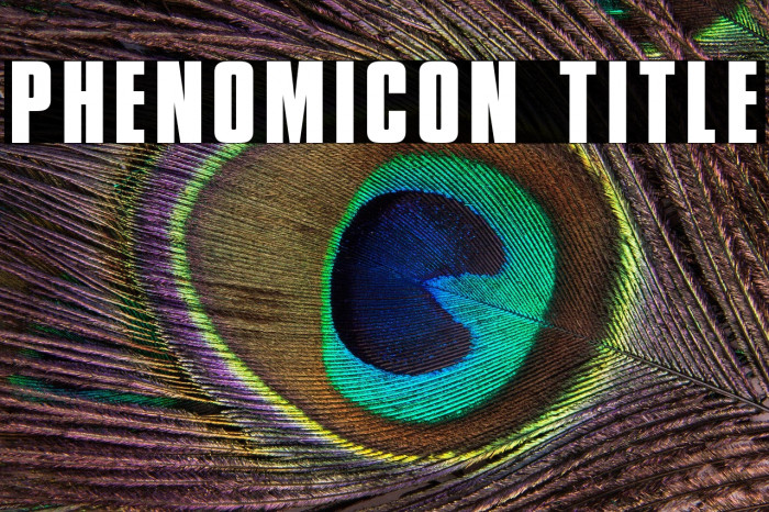 Phenomicon Title Example 1