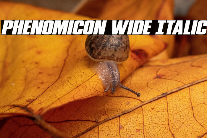 Phenomicon Wide Italic Example 1