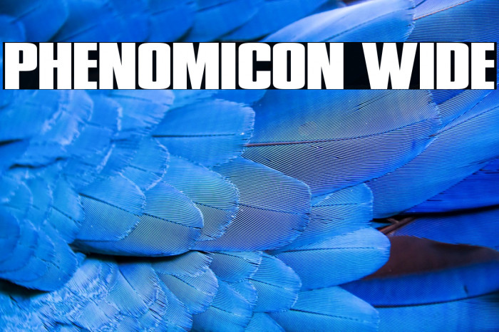 Phenomicon Wide Example 1