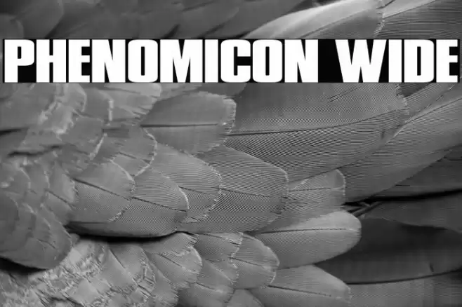 Phenomicon Wide Font examples