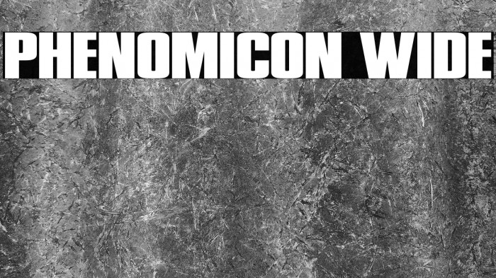 Phenomicon Wide Example 2