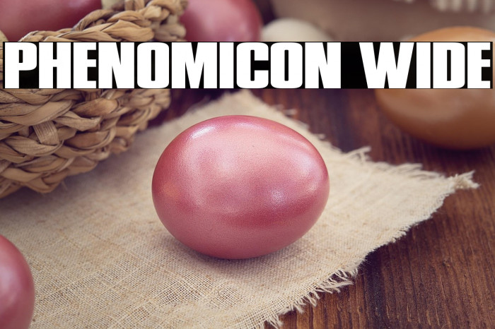 Phenomicon Wide Example 3