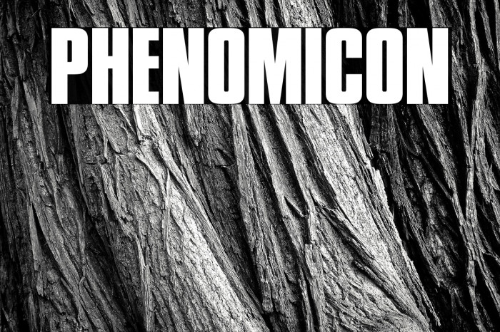 Phenomicon Example 1