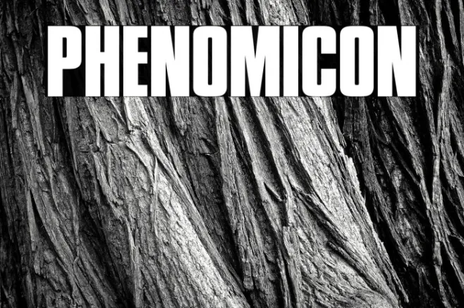 Phenomicon Example 1