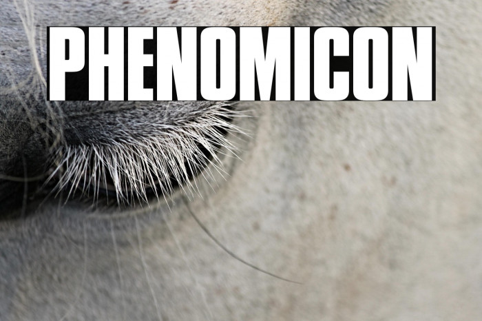 Phenomicon Example 3