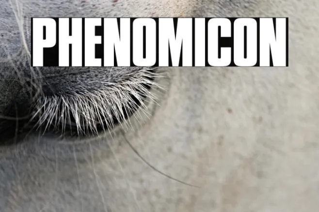 Phenomicon Example 3