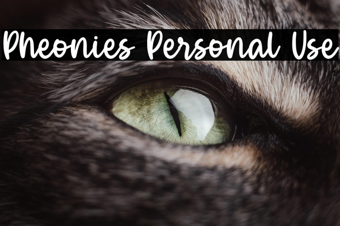 Pheonies Personal Use Example 1