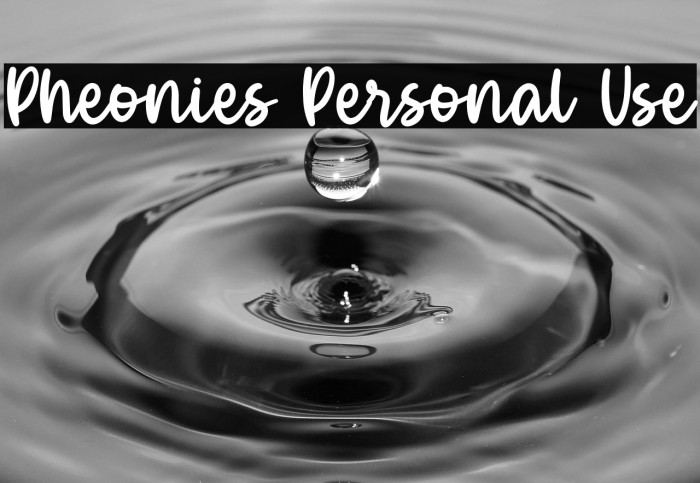 Pheonies Personal Use Example 2