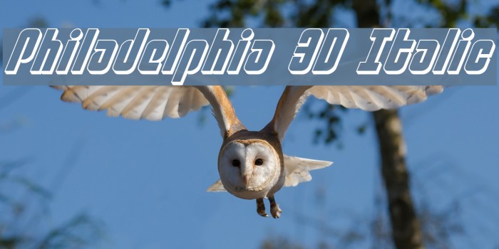 Philadelphia 3D Italic Font examples