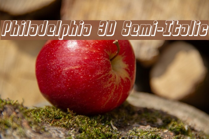 Philadelphia 3D Semi-Italic Example 1