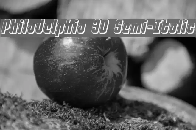 Philadelphia 3D Semi-Italic Font examples