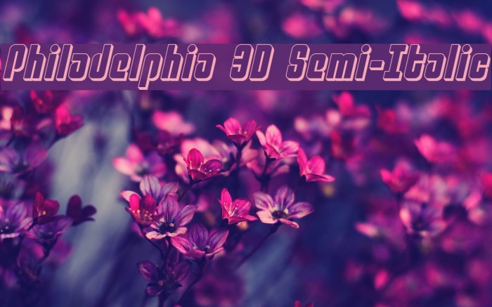 Philadelphia 3D Semi-Italic Example 2
