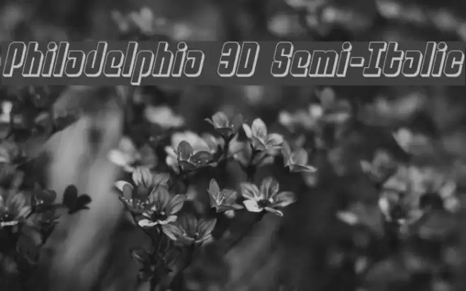 Philadelphia 3D Semi-Italic Font examples