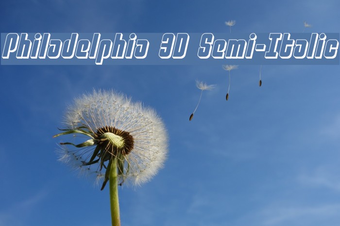 Philadelphia 3D Semi-Italic Example 3