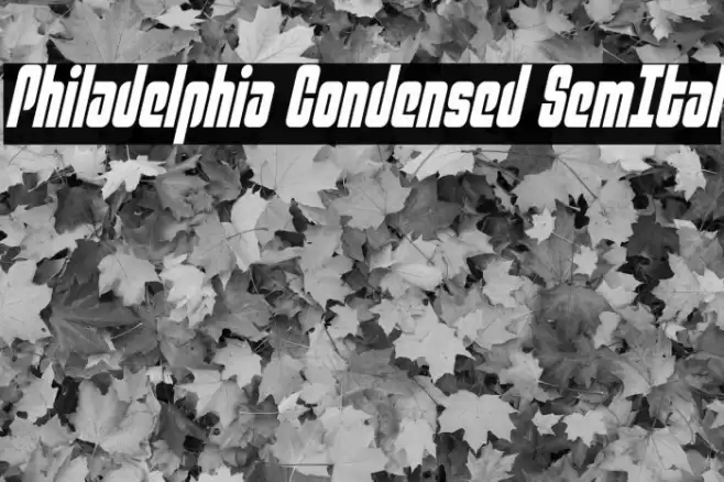 Philadelphia Condensed SemItal Fuentes examples